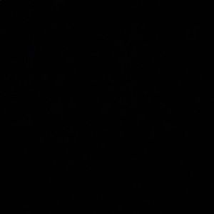 Meet your Posher, Isabella